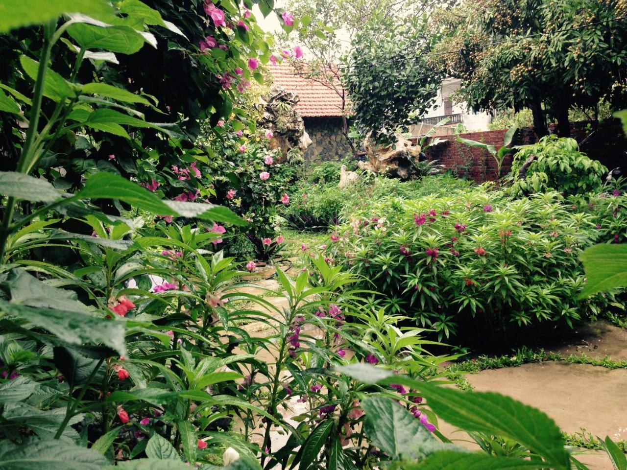 נין בין Mr. Viet Home Stay מראה חיצוני תמונה