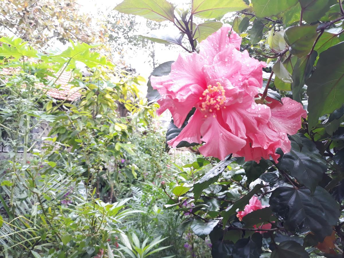 נין בין Mr. Viet Home Stay מראה חיצוני תמונה