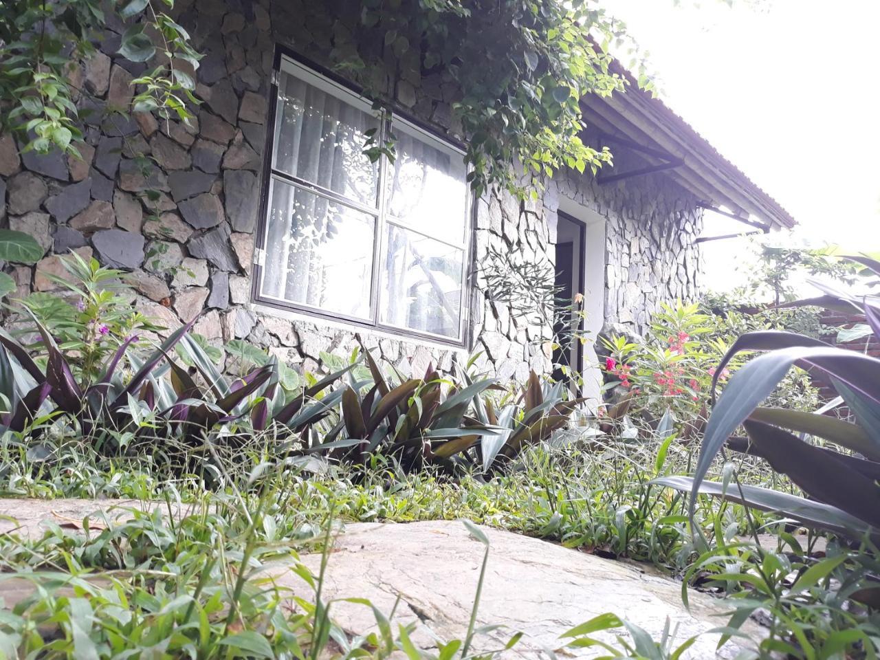 נין בין Mr. Viet Home Stay מראה חיצוני תמונה