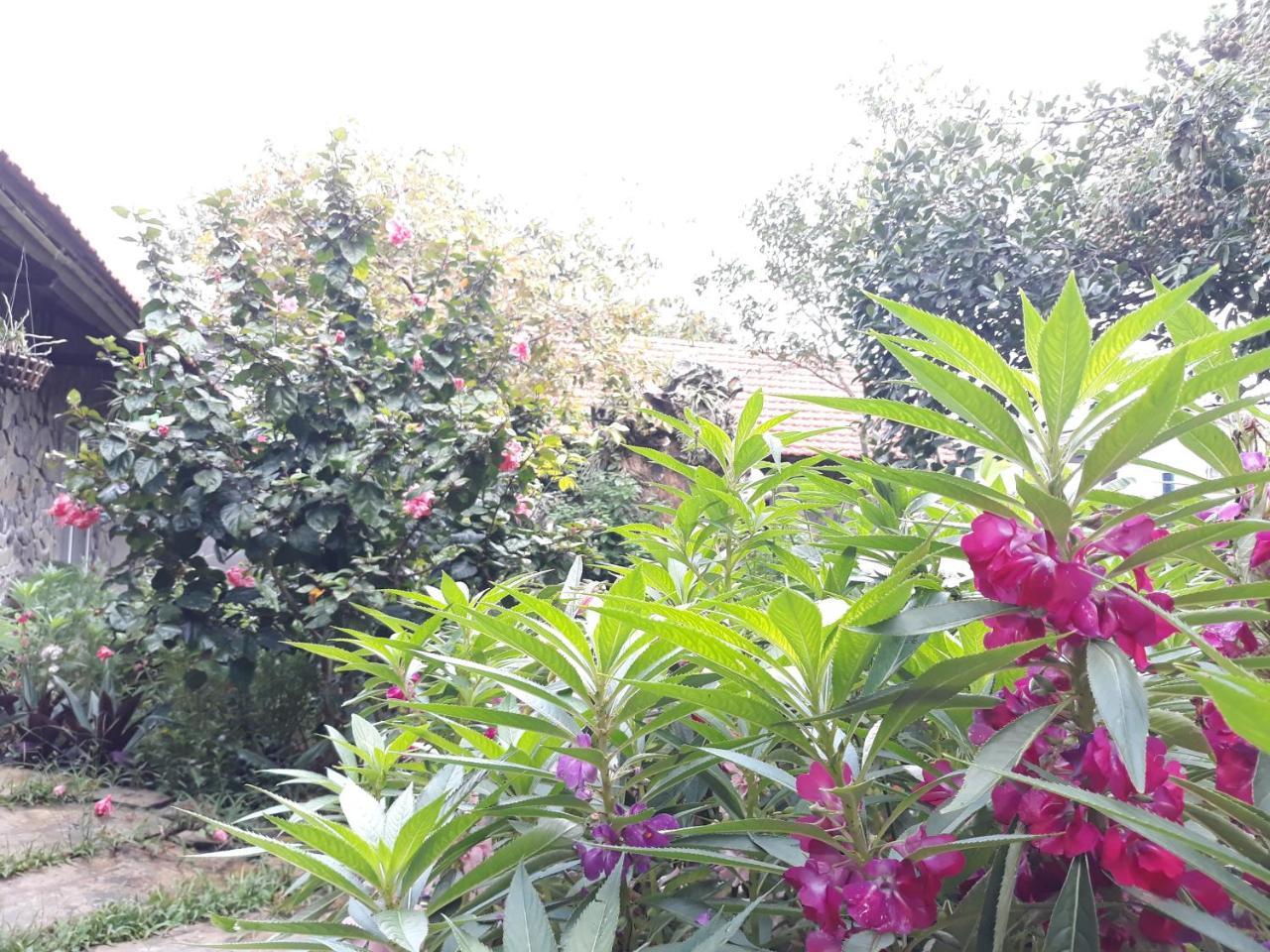 נין בין Mr. Viet Home Stay מראה חיצוני תמונה