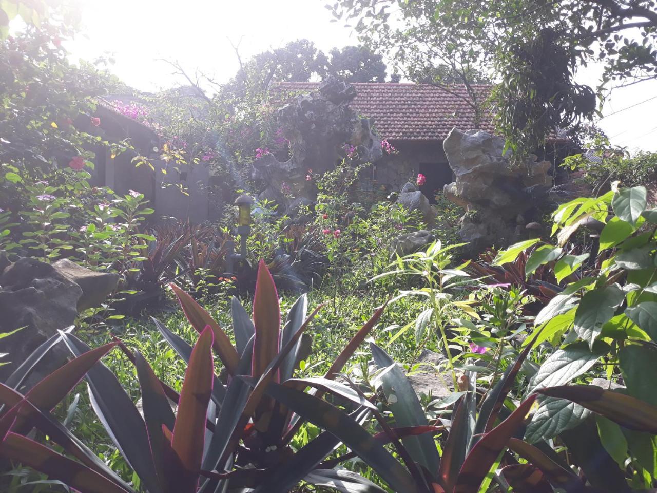 נין בין Mr. Viet Home Stay מראה חיצוני תמונה