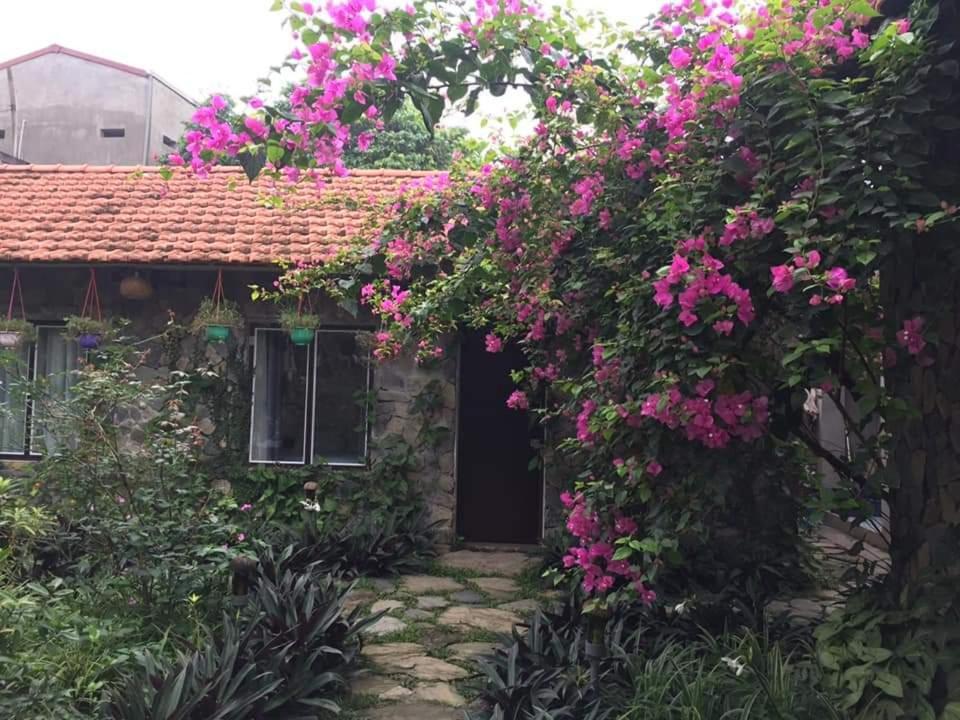 נין בין Mr. Viet Home Stay מראה חיצוני תמונה