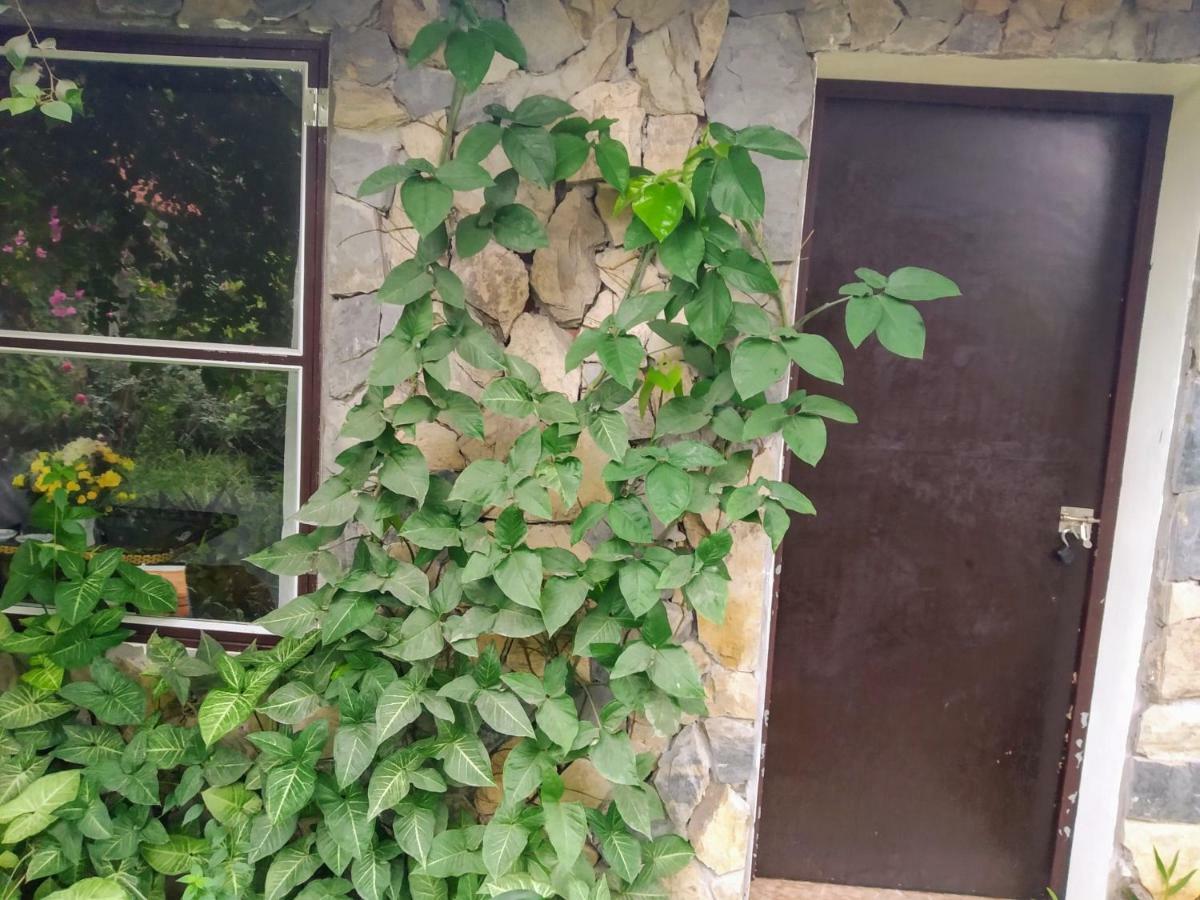 נין בין Mr. Viet Home Stay מראה חיצוני תמונה
