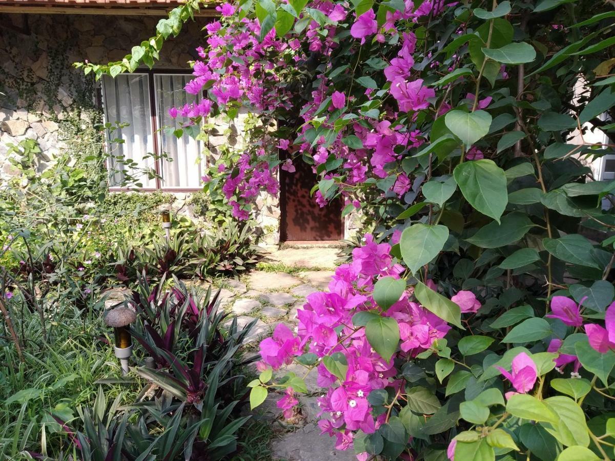 נין בין Mr. Viet Home Stay מראה חיצוני תמונה